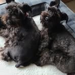 Profile Picture of David Shadel (@David-Shadel) on Facebook