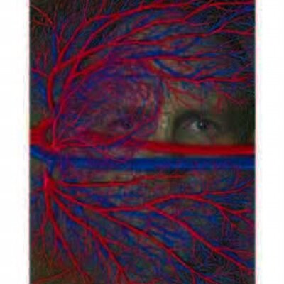 Profile Picture of Andrew Carnie (@@ArtCarnie) on Twitter