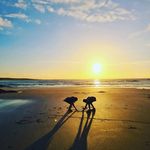 Aisling Curran - Instagram Profile Picture of Aisling Curran (@curranaisling) on Instagram