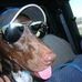 Profile Picture of Buddy Bateman (@buddy.bateman.9) on Facebook