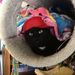 Profile Picture of Aurelia Tate (@aureliatate) on Pinterest