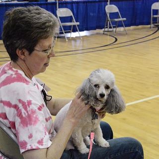 Profile Picture of Cindy Ringler (@cindy.ringler.5680) on Facebook