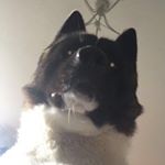 Profile Picture of James Stuart (@jamesstuart15) on Instagram
