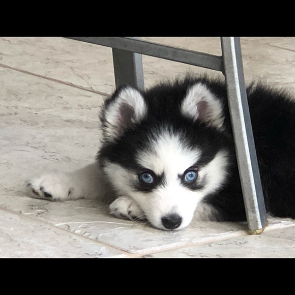 Profile Picture of Amy Mcelhenie (@awncelhenie) on Poshmark