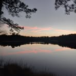 Profile Picture of Josh Jamie Godbey (@josh.jamie.godbey) on Facebook