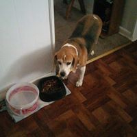 Profile Picture of Ernest Boyd (@ernest-boyd-7) on Quora