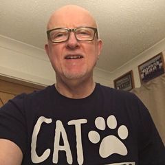 Profile Picture of Stevie Colgan (@steve.i.ee) on Tiktok