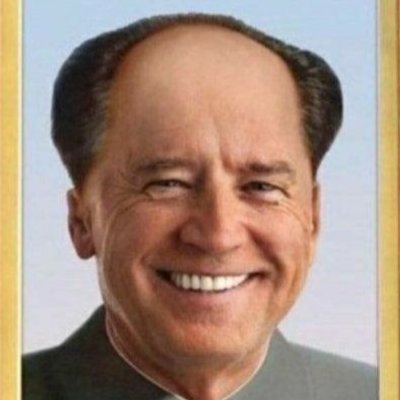 Profile Picture of Joe Bi Deng (@MuLifayn) on Twitter