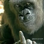 Profile Picture of Ian Fer (@Ian-Fer) on Facebook