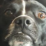 Profile Picture of Alex Morano (@notalexmorano) on Instagram