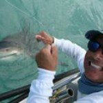 Profile Picture of Steve Liberatore (@steveliberatore) on Instagram
