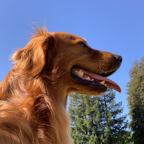 Profile Picture of Dumitru Eremei (@dumigm) on Poshmark