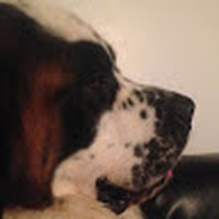 Profile Picture of Peter Wiley (@peter-wiley-8) on Quora