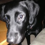 Profile Picture of Travis Henning (@thenning1014) on Instagram