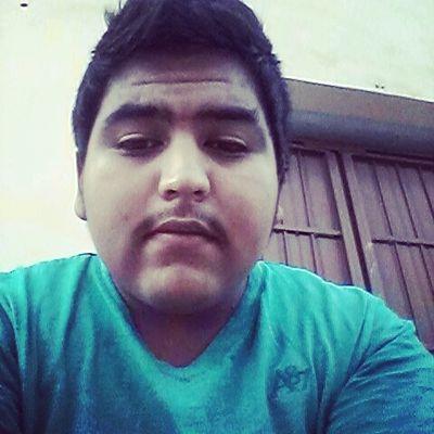 Profile Picture of David Haros Torres (@HarosDavidbass) on Twitter