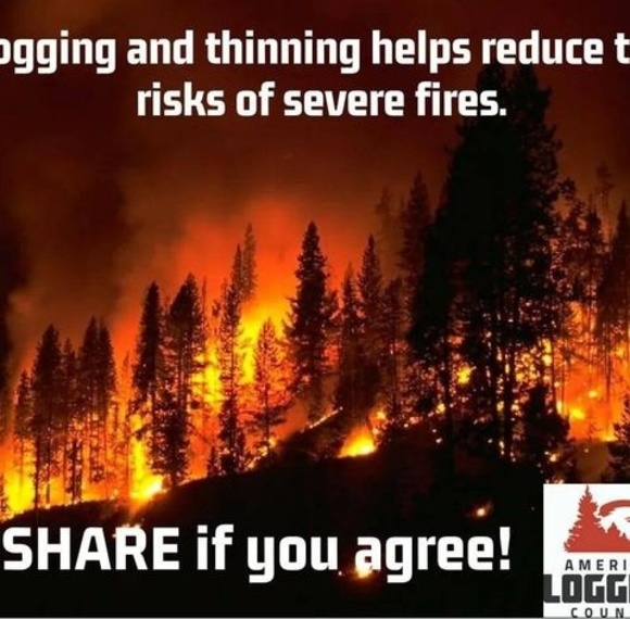 Profile Picture of John Mcleod (@mcleodj096) on Poshmark