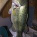 Profile Picture of Frederick Schneider (@frederick.schneider.16) on Facebook