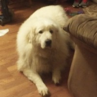 Profile Picture of Michael Reissig (@michael-reissig) on Quora