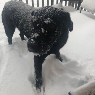 Profile Picture of Loren (@MissLorenMandy) on Twitter