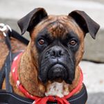 Profile Picture of Kerstin Finger-Jacob (@kerstinfingerjacob) on Instagram