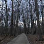 Profile Picture of Jeff Kunkel (@jeffkunkel684) on Instagram