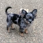 Profile Picture of Jackson Moghadam (@Jackson-Moghadam) on Facebook