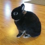 Profile Picture of nathan moses (@nathan_moses11) on Instagram