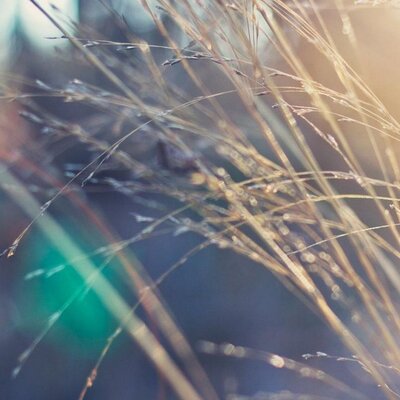 Profile Picture of Robin Blair (@robinblair28) on Twitter