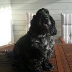 Profile Picture of Bjørn Erik Ellefsen (@bjornerikellefsen) on Instagram