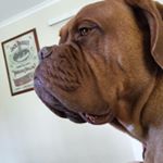 Profile Picture of Peter Schoenberger (@ziggymeister56) on Instagram