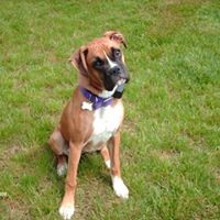 Profile Picture of Rene Mathews (@rene-mathews-1) on Quora