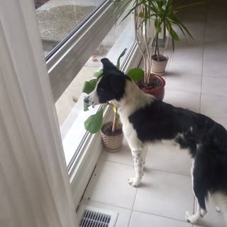 Profile Picture of Chris Blunt (@chrisblunt1) on Instagram