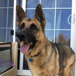 Profile Picture of Jesse Chapman (@jesse_chapman1035) on Instagram