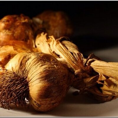 Profile Picture of Gerookte Knoflook (@Knofrook) on Twitter