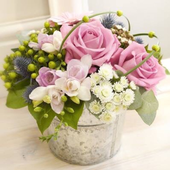 Profile Picture of Jane Cafasso (@crater64) on Poshmark