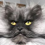 Profile Picture of Mark Gashler (@gashlermark) on Instagram