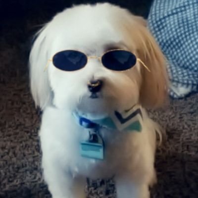 Profile Picture of Dawn Kubicki (@DawnKubicki) on Twitter