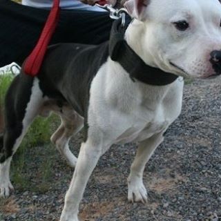 Profile Picture of Buster James (@buster.james.10) on Facebook