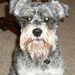 Profile Picture of Dawn Calhoun (@dawncalhoun) on Pinterest