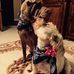 Profile Picture of Kevin OGrady (@kevin.ogrady.31392) on Facebook