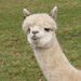 Profile Picture of Nick J. Wesson (@nickjwesson) on Pinterest
