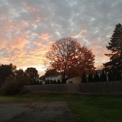 Profile Picture of Jeff Lewin (@JeffLewin3) on Twitter