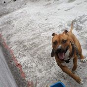 Profile Picture of Julio Loredo (@julioloredo6164) on Youtube