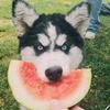 Profile Picture of Danielle Pooler281 (@@danogram4) on Tiktok