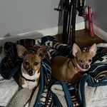 Profile Picture of Jason Frame (@jason.frame.52459) on Instagram