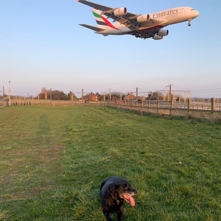 Profile Picture of Matthew Downs (@matthewdowns3) on Tiktok