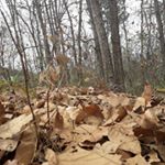 Profile Picture of Mario Alvizures (@marioalvizu02) on Instagram