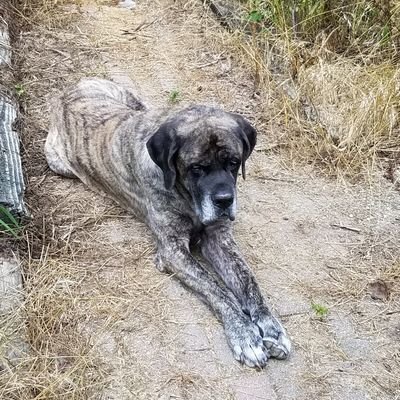 Profile Picture of Darrell Van Tilburg (@dvantil55) on Twitter