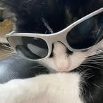 Profile Picture of Lordan Chavez (@lordan.chavez.2025) on Facebook