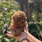 Profile Picture of David Petroski (@David-Petroski) on Facebook